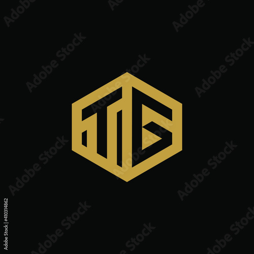 Initial letter TG hexagon logo design vector
