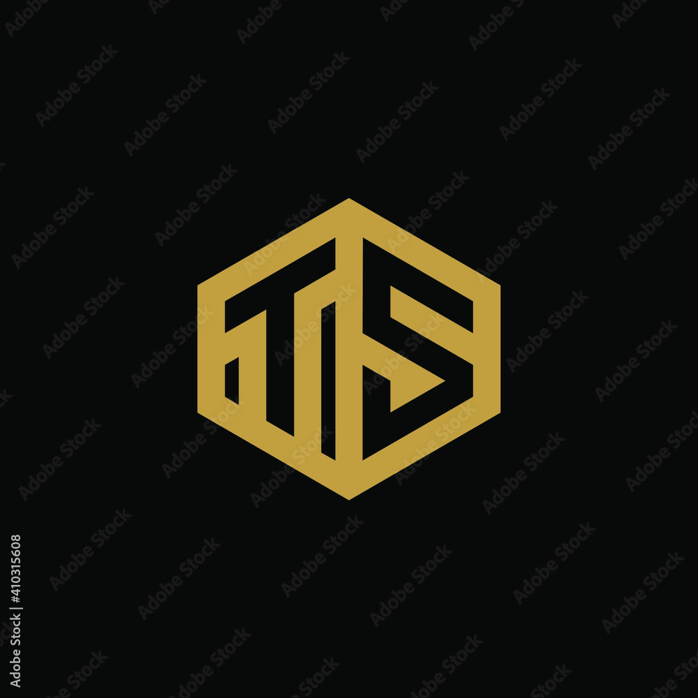 Initial letter TS hexagon logo design vector Initial letter TS hexagon logo design vector
