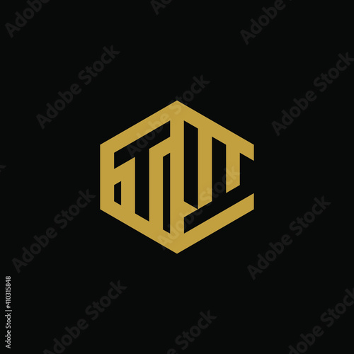 Initial letter TW hexagon logo design vector