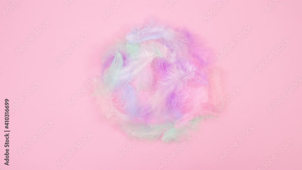 Easter eggs appear in nest of feathers. Stop motion Easter eggs appear in nest of feathers. Stop motion