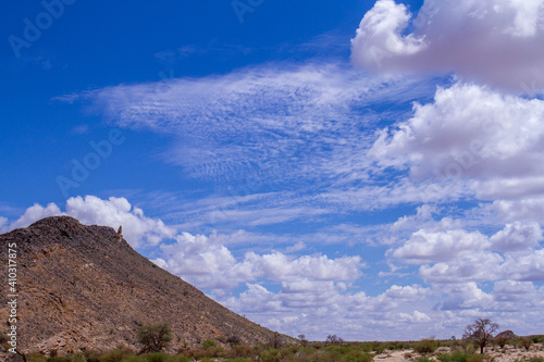 Kalahari landscape with blue sky and white clouds for background use photo