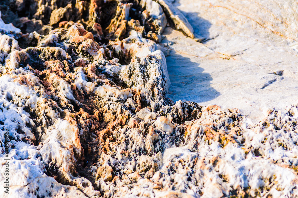 close up detail of rock surface with variety of colors under natural sunlight close up detail of rock surface with variety of colors under natural sunlight