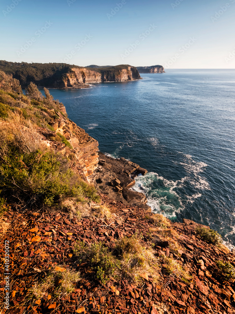 Early morning light in Bouddi National Park on the NSW Central Coast