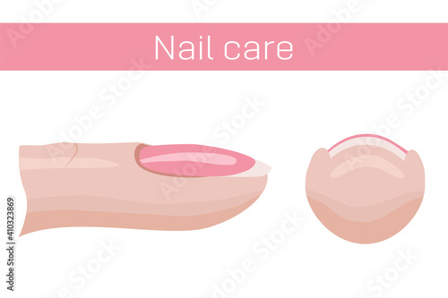 Nail care. Finger with nail, side and front view. Illustration for the manicure guide. Vector illustration