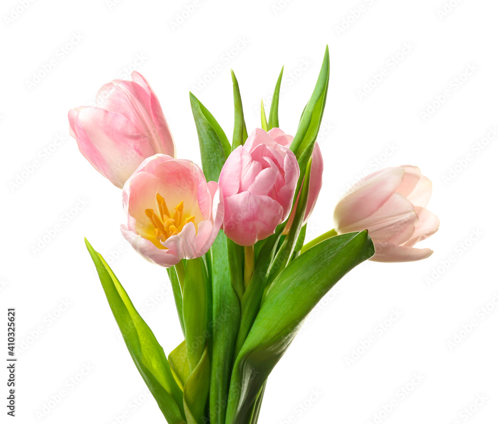 Obraz premium Beautiful tulip flowers on white background