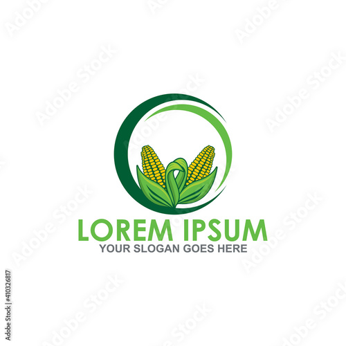 corn vector , agriculture logo vector