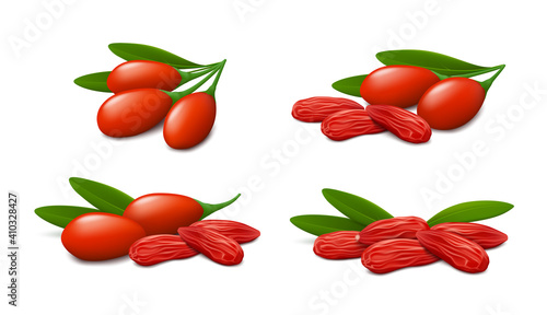 Fresh and dried goji berries with green leaves isolated on white background. Realistic vector illustration.