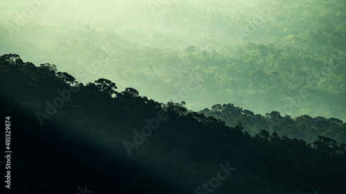 view of tropical forest lan...
