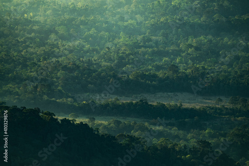 view of tropical forest lan...