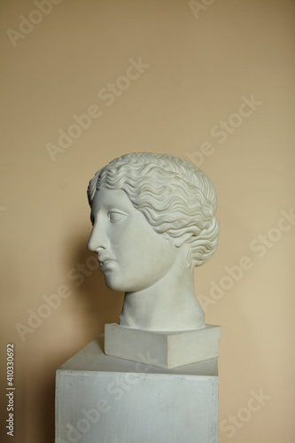 White gypsum statue head. Plaster head bust.