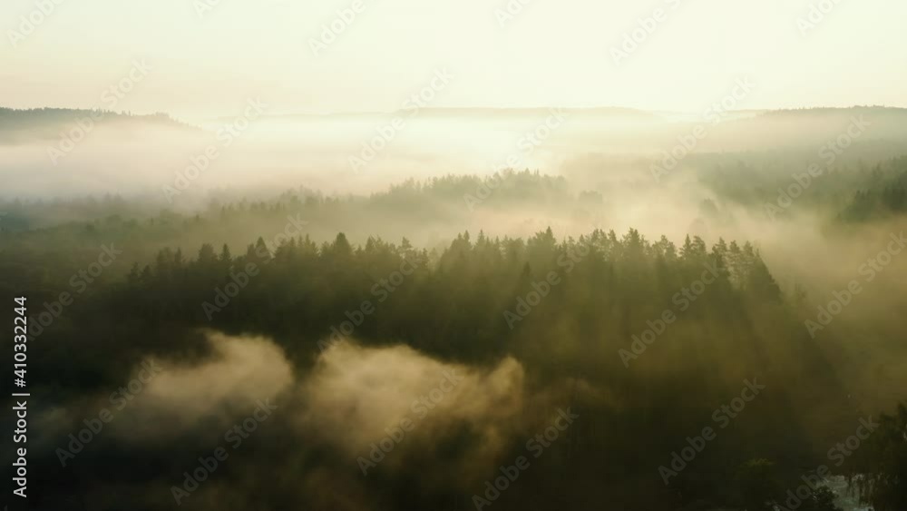 Thick fog over sunny forest in morning, tracking aerial drone shot Thick fog over sunny forest in morning, tracking aerial drone shot