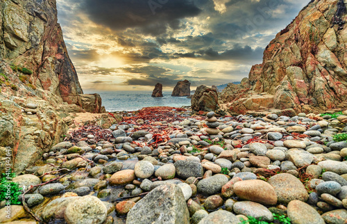 Beautiful landscape, beach and cove, Garrapata State Park, Big Sur, California, USA photo