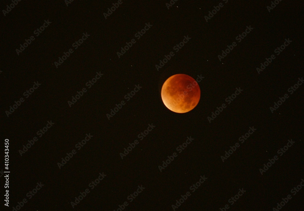 moon moon