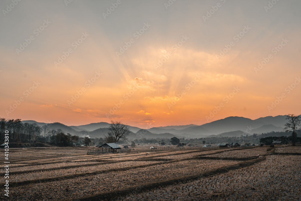 Paddy field And cabin after harvest in the evening Paddy field And cabin after harvest in the evening