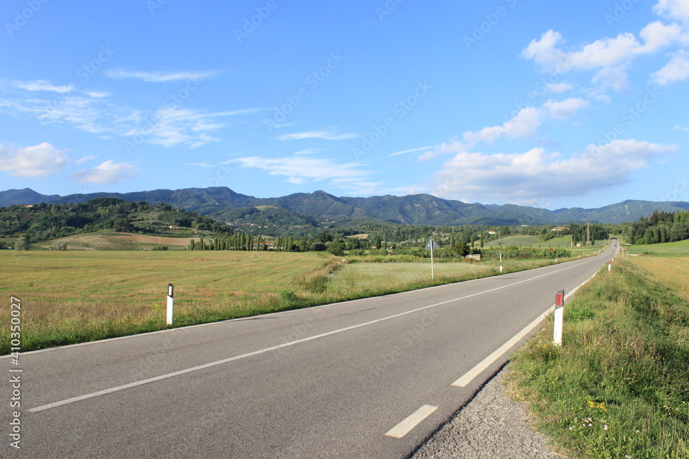 Fototapeta premium En route vide part en point de fuite vers la droite, aufond les montagnes et devant un champ vert jaune