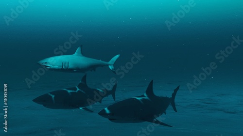 Closeup of Three Great white sharks swimming in the deep blue ocean water, underwater scene of white sharks, Beauty of sea life , 4K High Quality, 3d render