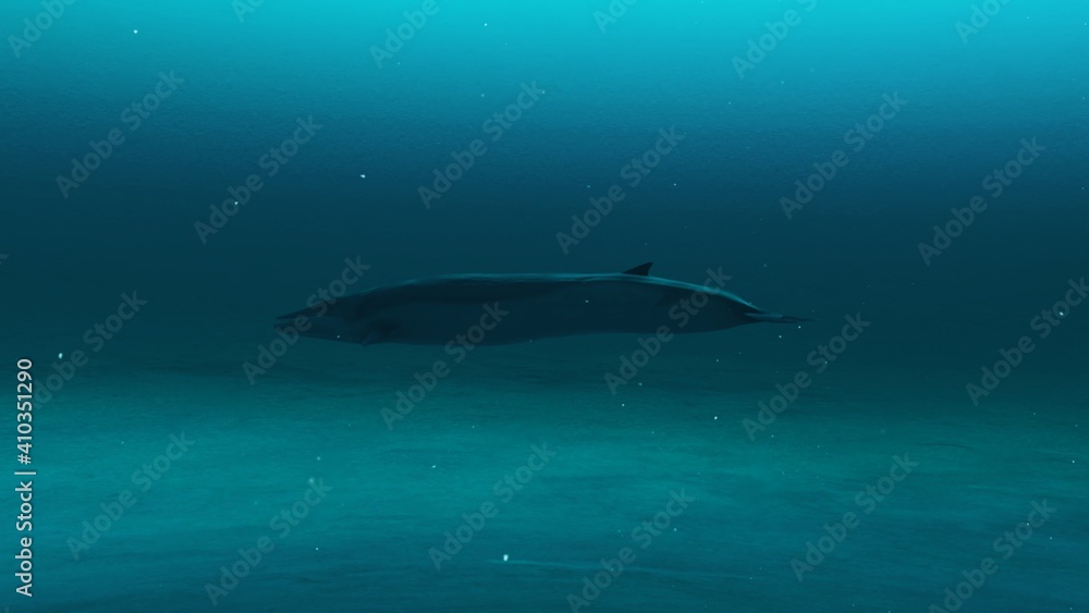 Fototapeta premium Closeup up of Rorqual whale swimming in the deep blue ocean water, underwater scene of Rorqual whale, Beauty of sea life , 4K High Quality, 3d render