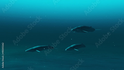 closeup of Three Rorqual whales swimming in the deep blue ocean water, underwater scene of Rorqual whales, Beauty of sea life , 4K High Quality, 3d render