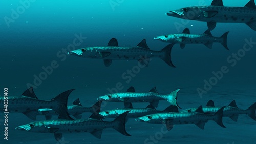 Closeup of multiple Barracuda fishes swimming in the deep blue ocean water  underwater scene of barracuda fishes  Beauty of sea life   4K High Quality  3d render.