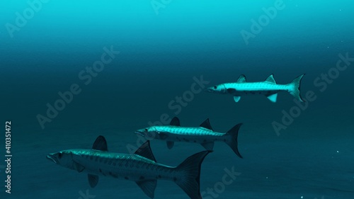 Three Barracuda fishes swimming in the deep blue ocean water, underwater scene of barracuda fishes, Beauty of sea life , 3D render.