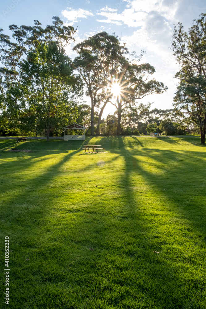 Sun shining through trees with long shadows on green grass and picnic table in Orbost, Australia