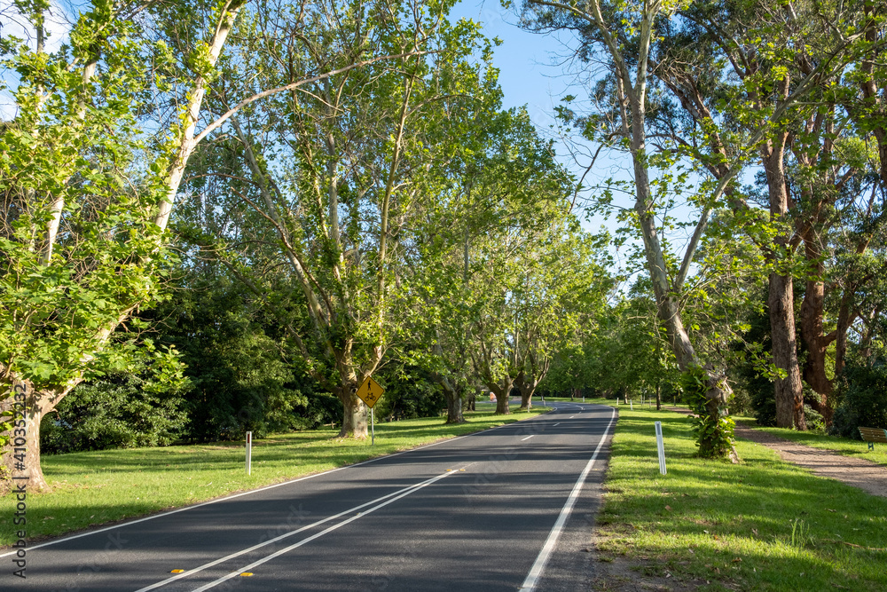 Winding rural road among green trees in Victoria, Australia Winding rural road among green trees in Victoria, Australia