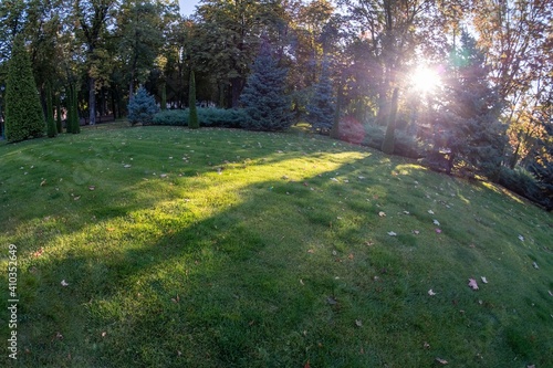 Park grass green nature tre...