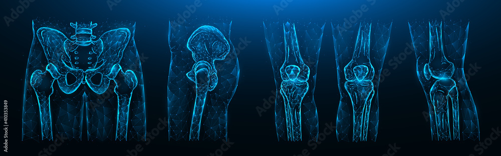 Polygonal vector illustration of the pelvis, hip joint and knees on a dark blue background. Human Anatomy medical template. - obrazy, fototapety, plakaty 