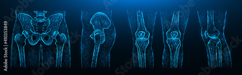 Polygonal vector illustration of the pelvis, hip joint and knees on a dark blue background. Human Anatomy medical template.