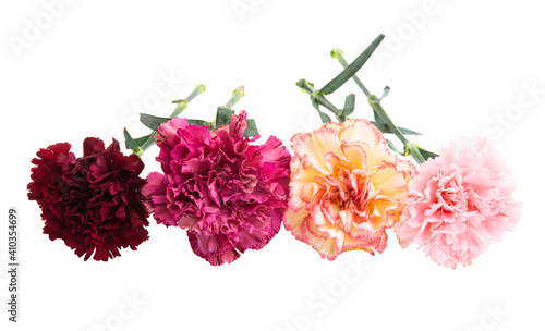 Fototapeta Naklejka Na Ścianę i Meble -  bouquet of carnations isolated