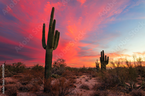 Canvas Print Arizona sunset sky with Saguaro Cactus and desert landscape