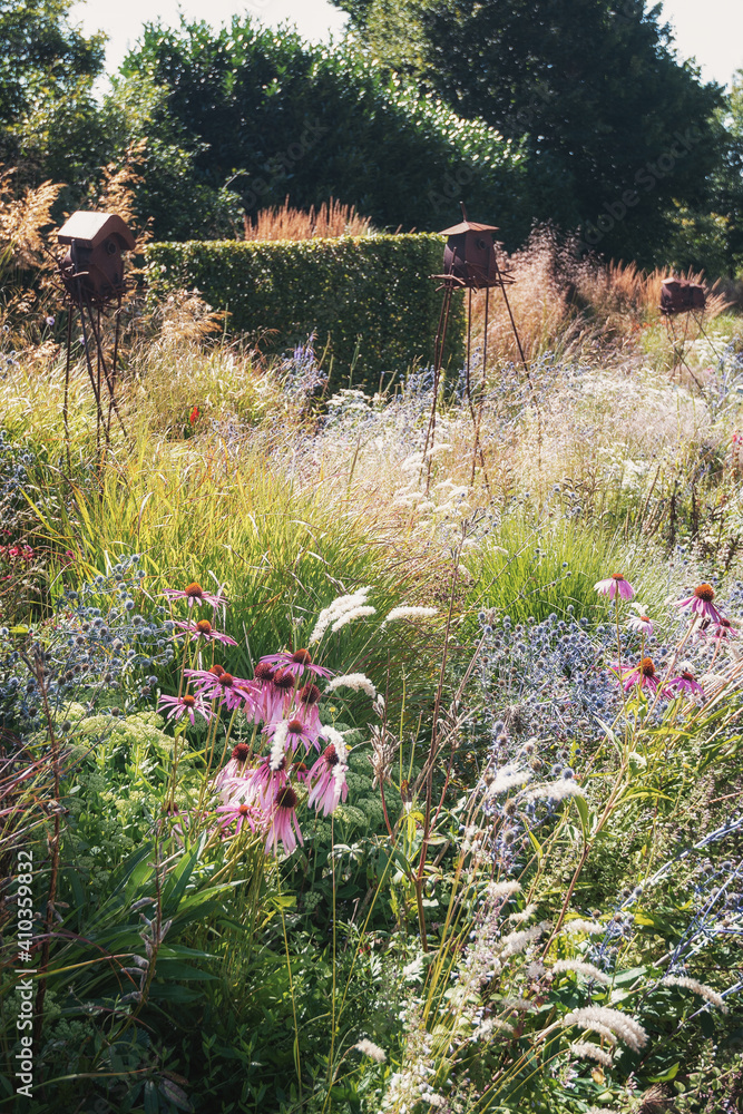 Birdhouses in the garden with beautiful flowers in full bloom during the summer Birdhouses in the garden with beautiful flowers in full bloom during the summer