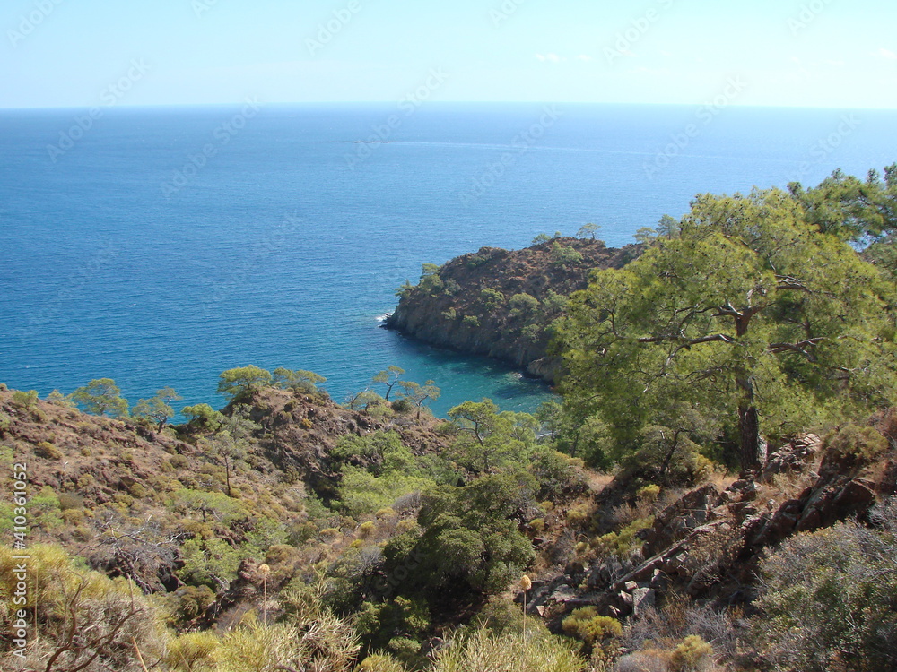 View from the thickets of the mountain forest on small wild bays surrounded by rocky shores against a sunny sky.