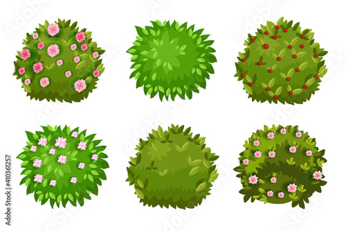 Spring bush, shrub cartoon green garden hedge collection with green leaves, flower blossom, berries. Summer landscape nature cartoon objects isolated on white. Spring round bush plants floral icons