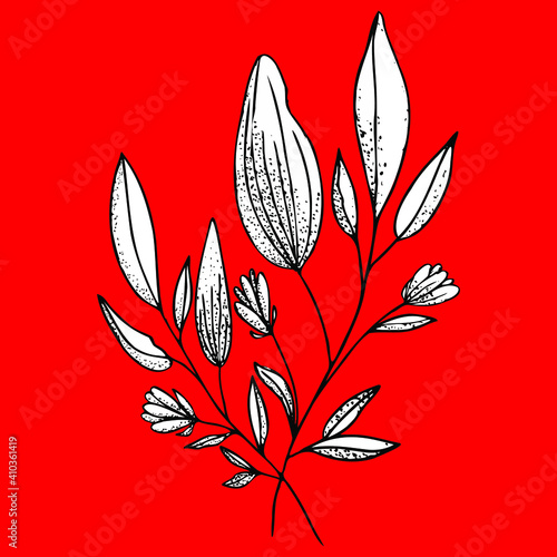 vector large flower of unopened lily with leaves