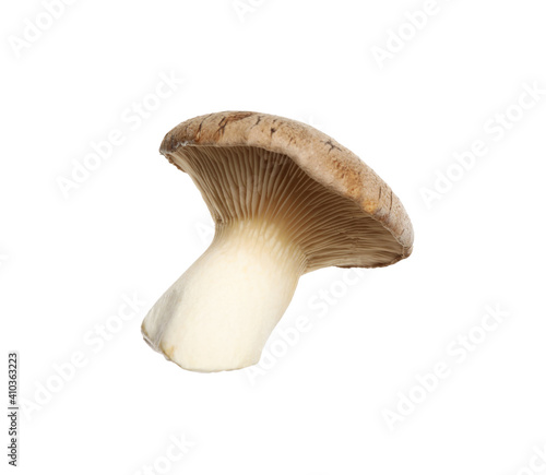 Fresh king trumpet mushroom isolated on white