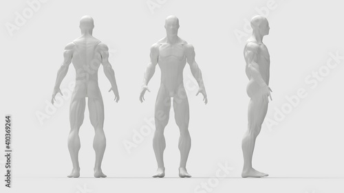 human muscles front side back view of a human being isolated in grey background