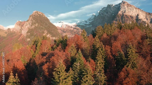 Beautiful rocky mountains beyond the autumn forest of La Rosière, France -aerial photo