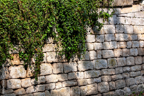 Mur de pierre et lierre