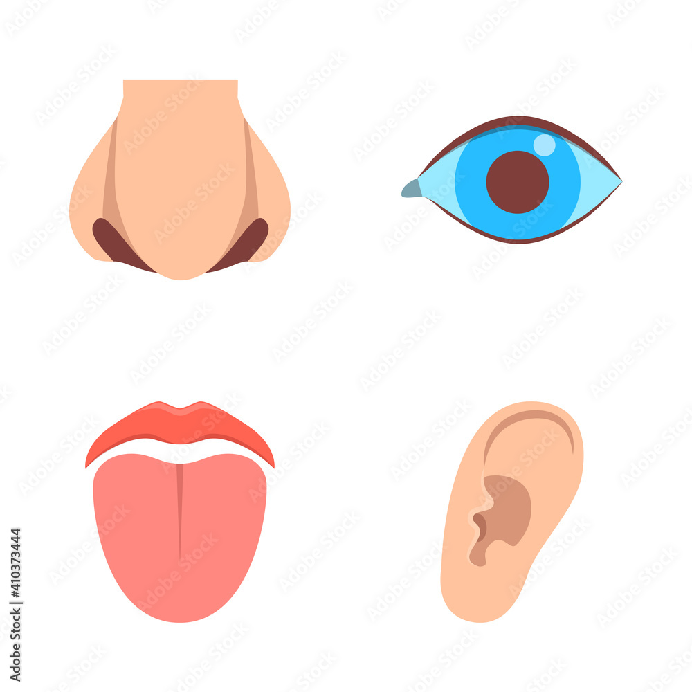 Human sense organ icons set in flat style Human sense organ icons set in flat style