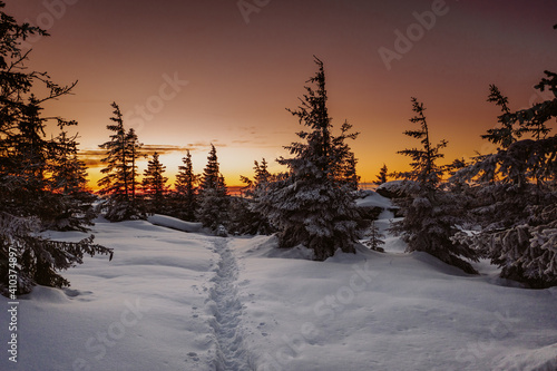 Sonnenaufgang im Winter auf dem Brocken im Nationalpark Harz in Sachsen- Anhalt