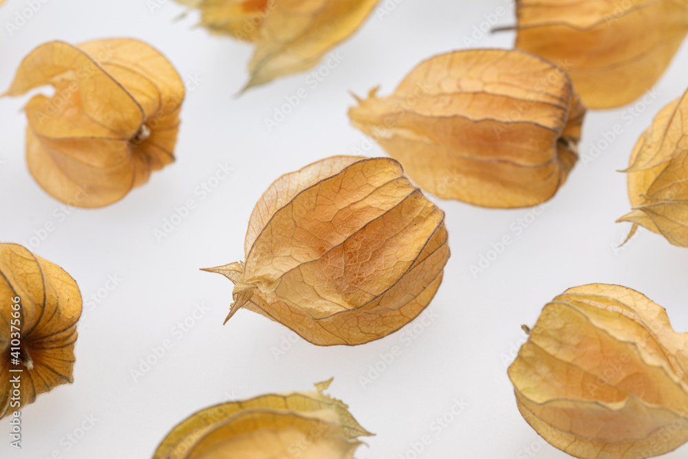 unpeeled physalis sprea on a white background, shot from the top