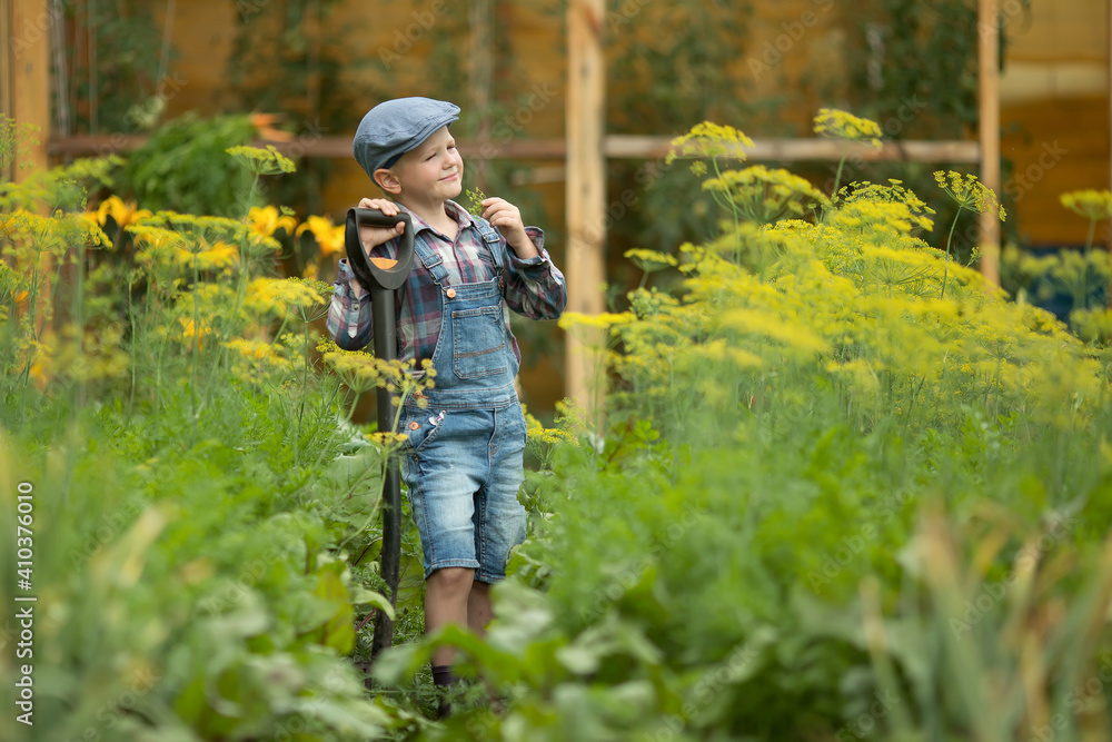 assistant boy stands in the garden with a shovel