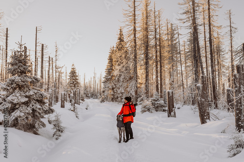 Winterspaziergang mit Hund im Harz am Brocken