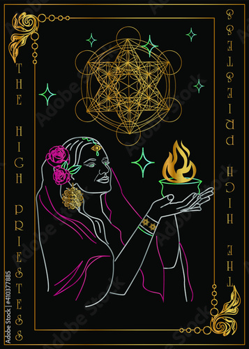 
the illustration - card for tarot - The High Priestess.