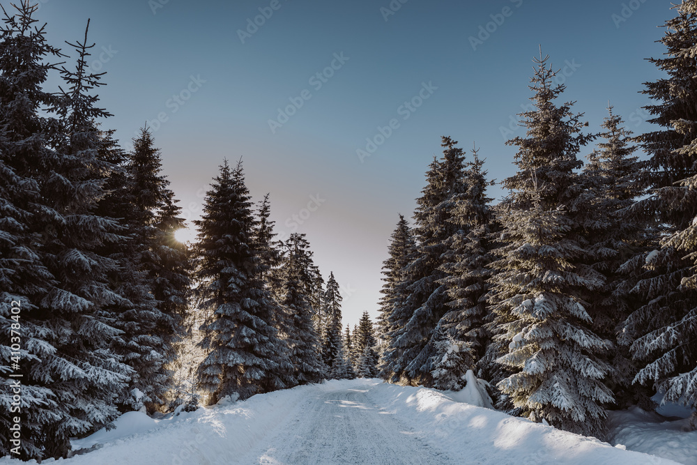 Winterlandschaft im Harz am Brocken