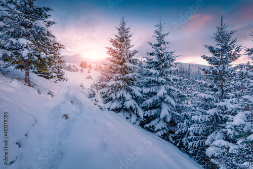 Colorful evening view of mountain forest. Beautiful winter scenery. Awesome outdoor scene of Carpathian mountains. Beauty of nature concept background.