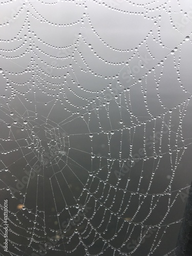 Spinnennetz im Nebeltau © Nicole