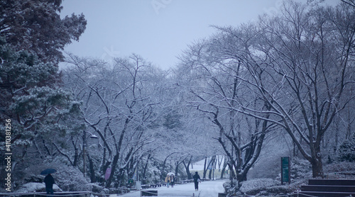 눈내리는 서울 풍경  © younghwan