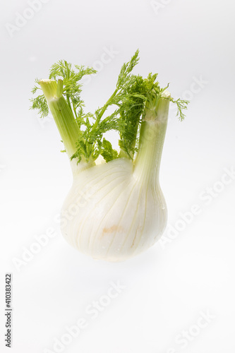 Cut, fresh fennel isolated on white background 